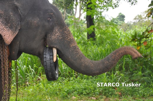 STARCO расширяет производство цельнолитых шин на своем заводе в Шри-Ланке